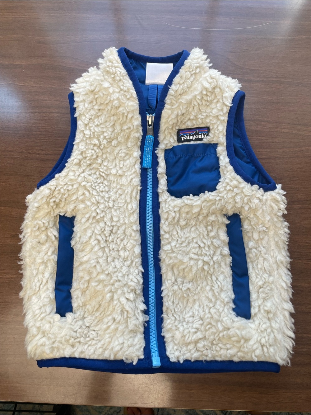 Patagonia Baby Retro-X Vest